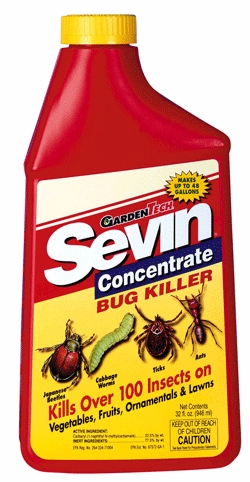 (image for) Insecticide Sevin Conc. 32 Oz