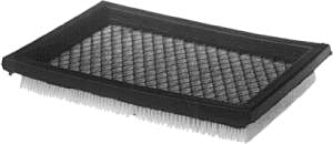 (image for) Air Filter Briggs Max 397795