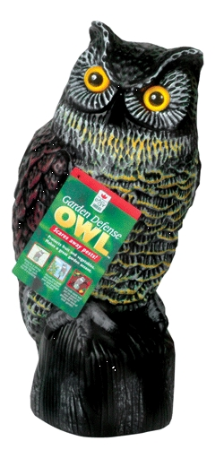 (image for) Owl Garden Defense