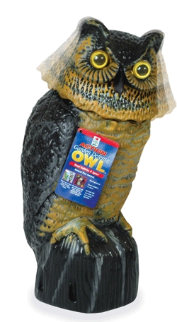 (image for) Owl Garden Defense Action