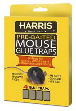 (image for) Mouse Trap Glue 4 Pack