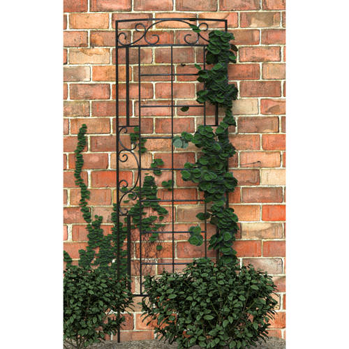 (image for) Trellis 7x24 Romantic Curved