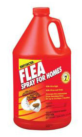 (image for) Insecticide Flea Spray Rtu Gal