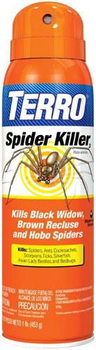 (image for) Insecticide Terro Spider Sp