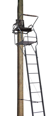 (image for) Ladder Stand 17.5' Dual Rail