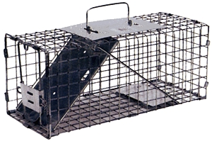 (image for) Squirrel Trap Havahart