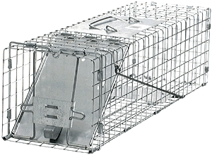 (image for) Rabbit/Squirrel Trap 24x7x7 - Click Image to Close