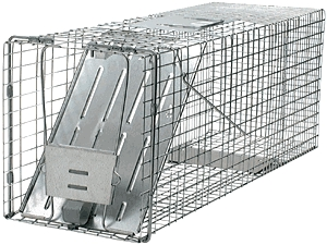 (image for) Raccoon Trap 32x10x12" Tender