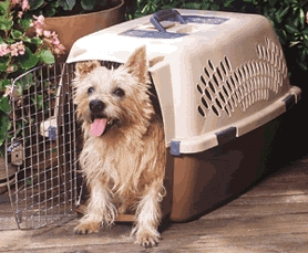 (image for) Pet Carrier Med/Lg