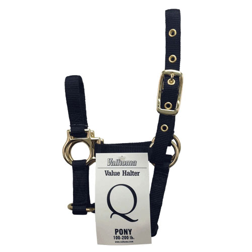 (image for) Halter Pony Q Blue