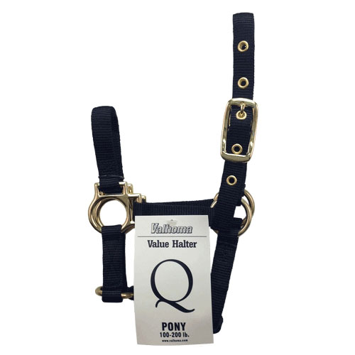 (image for) Halter Pony Q Red - Click Image to Close