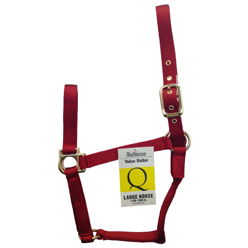 (image for) Halter Large Q Red - Click Image to Close