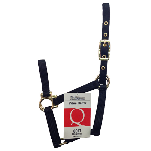 (image for) Halter Colt Q Black