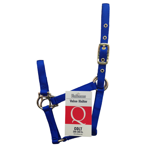 (image for) Halter Colt Q Blue