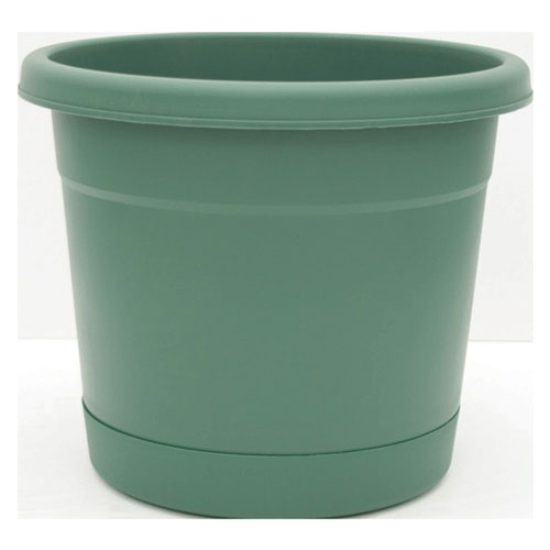 (image for) Planter 12"fern Rolled Rim