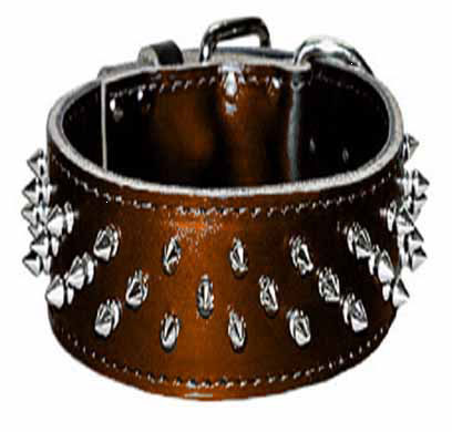 (image for) Collar Spiked 2"x21"brown