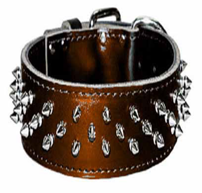 (image for) Collar Spiked 2"x 25"brown